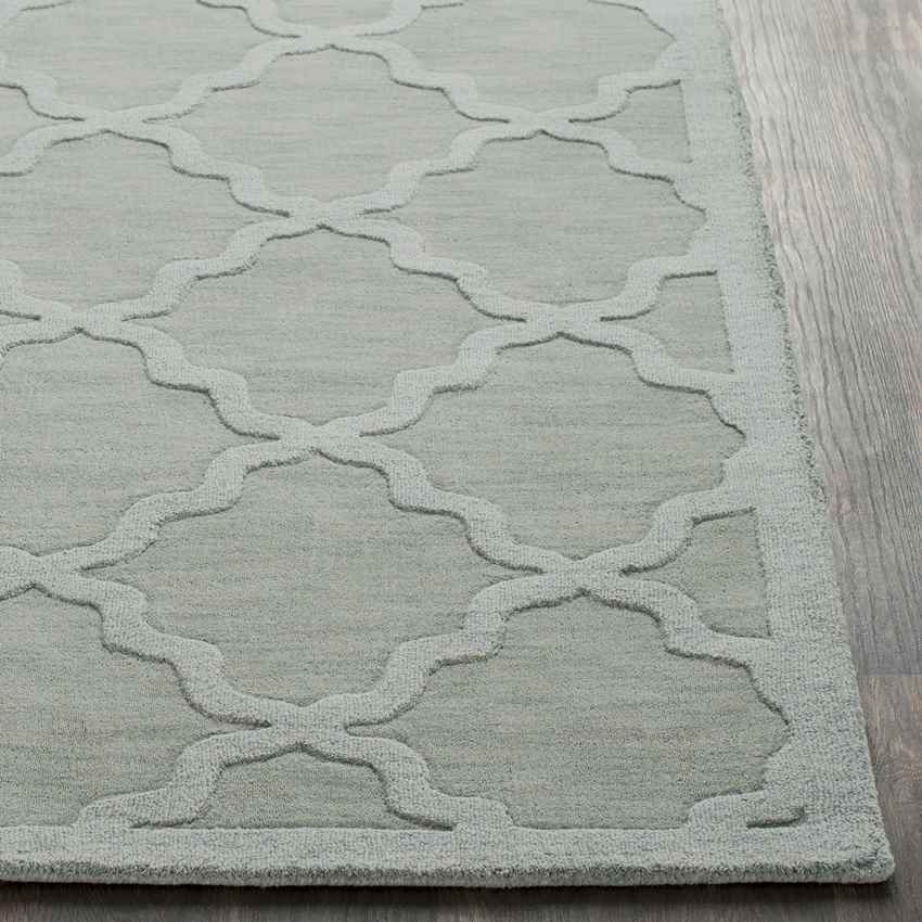 Ermont Solid and Border Ice Blue Area Rug