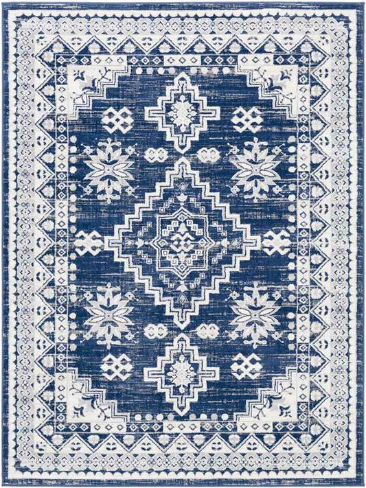 Pikveld Traditional Light Gray Area Rug