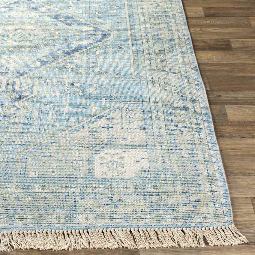 Winde Traditional Sky Blue Area Rug - Tranquil & Stylish