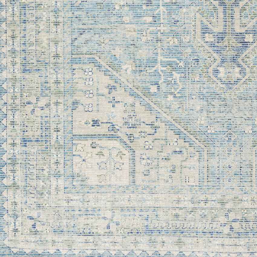 Winde Traditional Sky Blue Area Rug - Tranquil & Stylish