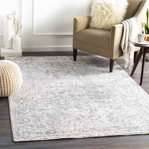 Zuidplas Traditional Medium Gray Area Rug
