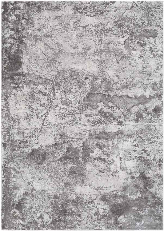 Landgraaf Modern Medium Gray Area Rug