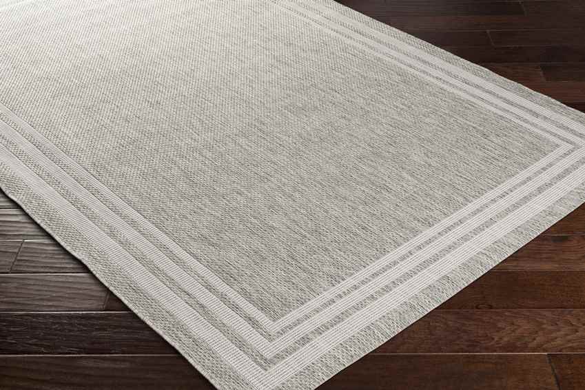 Wezep Traditional Light Gray Area Rug