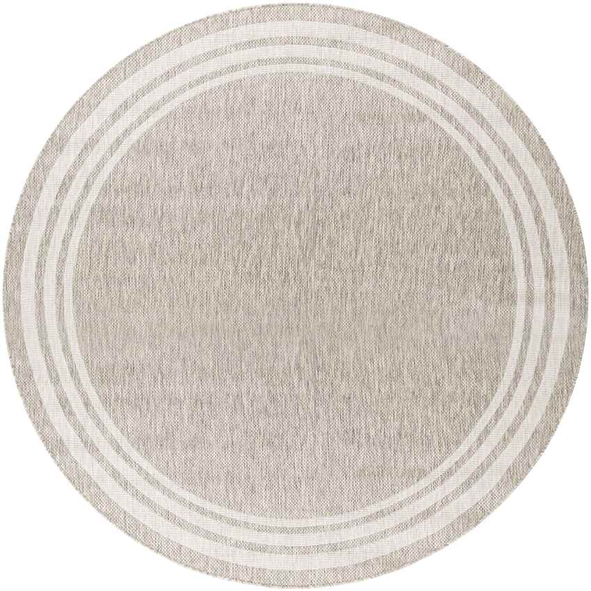 Wezep Traditional Light Gray Area Rug