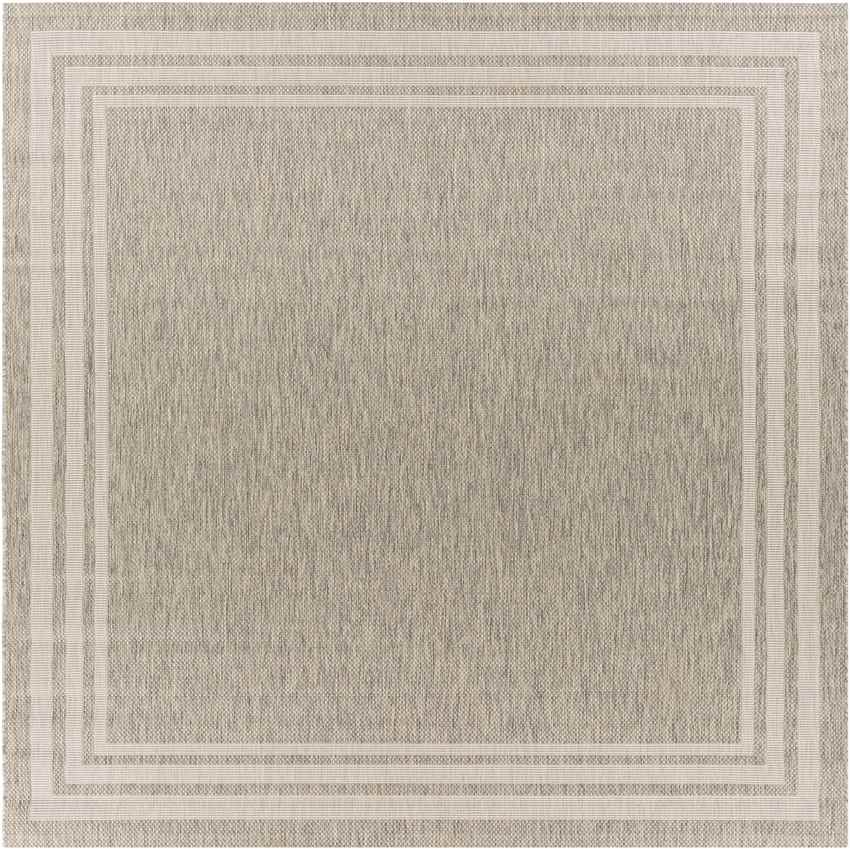 Wezep Traditional Light Gray Area Rug