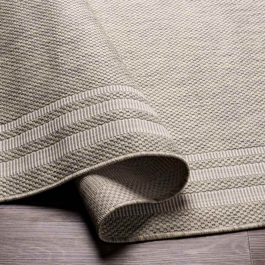 Wezep Traditional Light Gray Area Rug