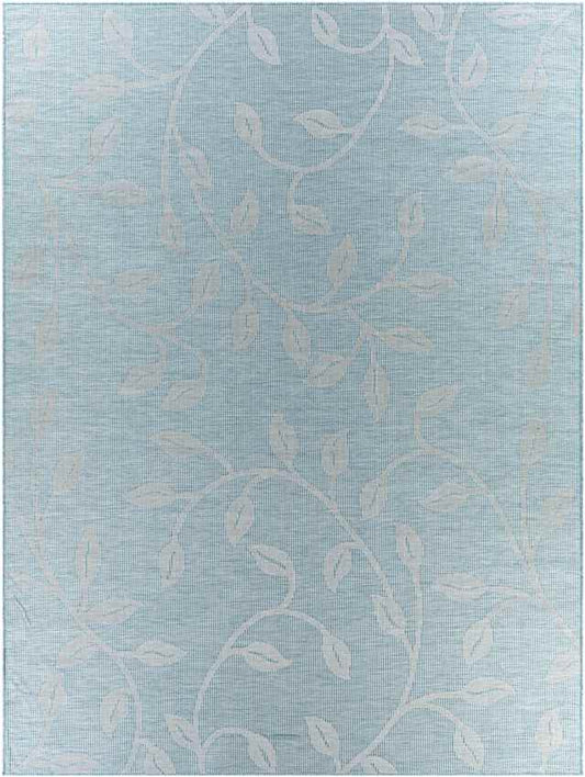 Broekhorn Traditional Aqua Area Rug