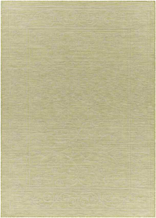 Castricum Traditional Light Green Area Rug