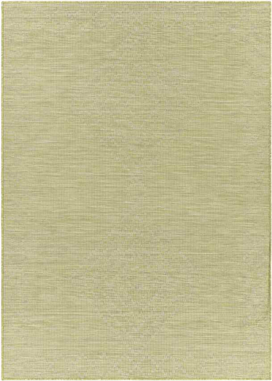 Craailo Global Light Green Area Rug