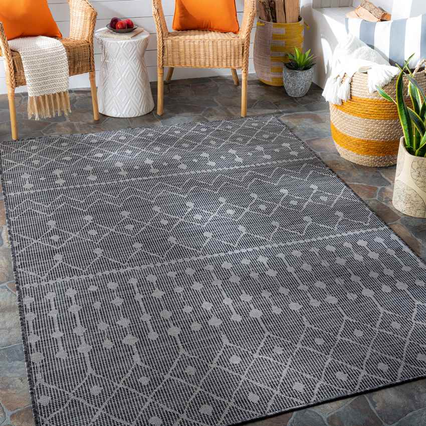 Cruquius Global Charcoal Area Rug