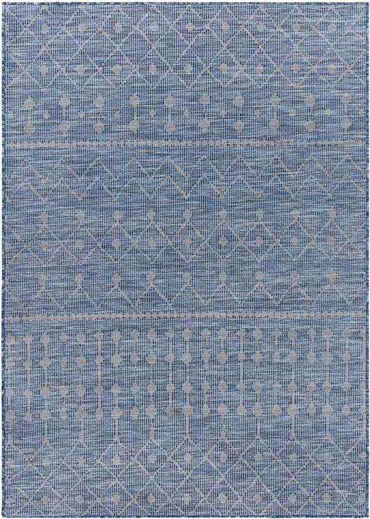 Cruquius Global Navy Area Rug