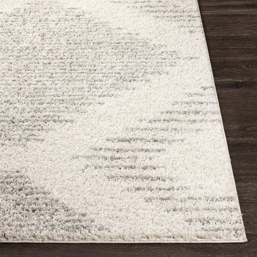Heelweg Global Medium Gray Area Rug