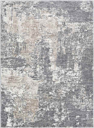 Oosterzij Modern Medium Gray Area Rug