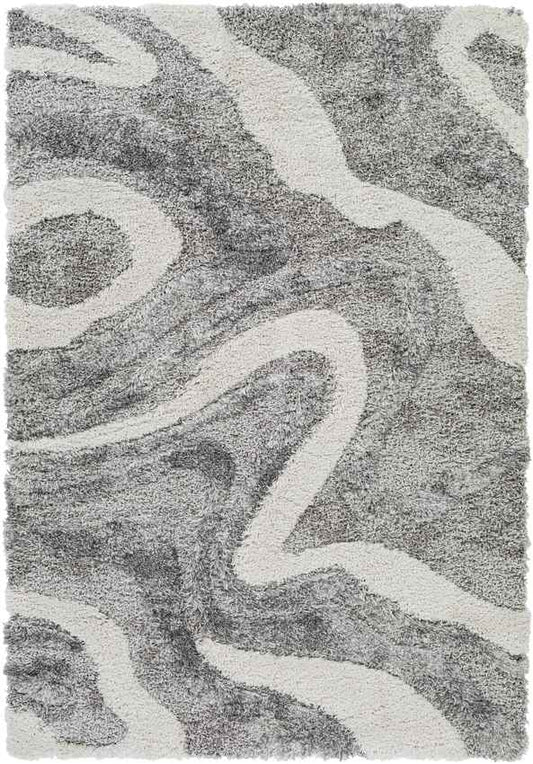 Pannekeet Modern Charcoal Area Rug