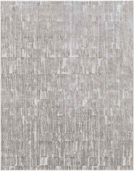 Schagen Modern Light Gray Area Rug