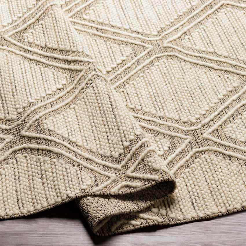 Masham Global Light Gray Area Rug