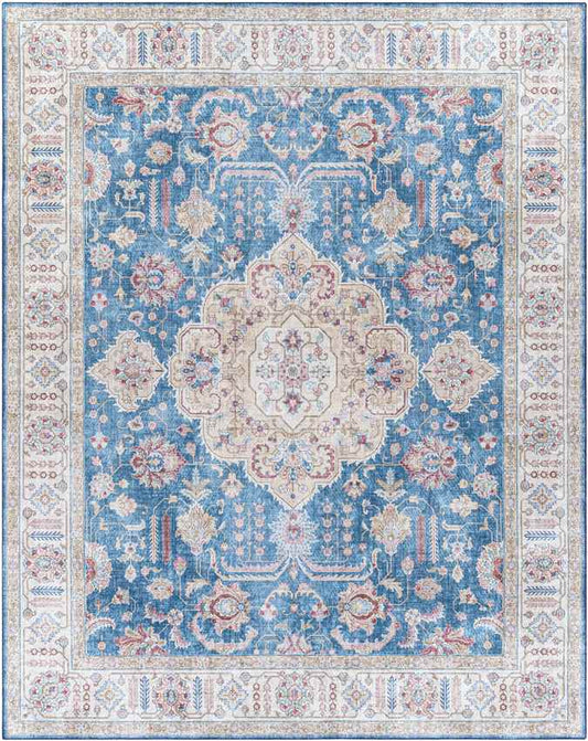 Loeswijk Traditional Sky Blue Area Rug
