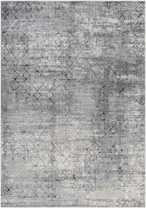 Moleneind Traditional Medium Gray Area Rug
