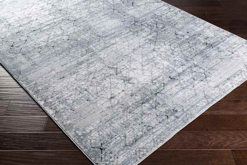 Moleneind Traditional Medium Gray Area Rug