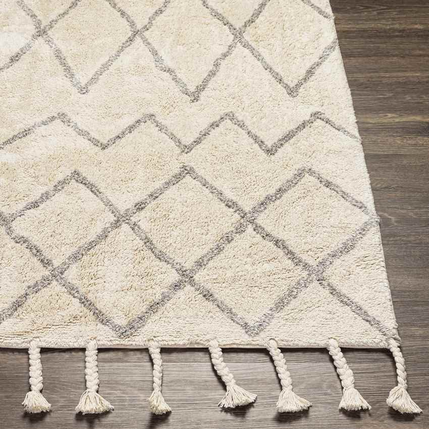 Nispen Global Taupe Area Rug