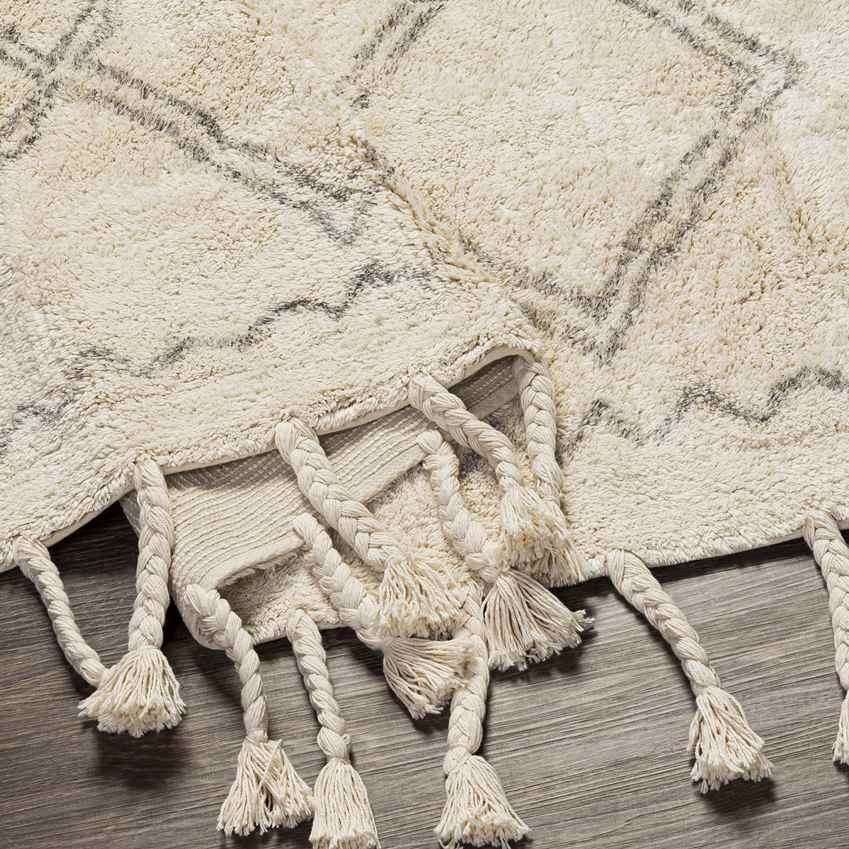 Noord Global Beige Area Rug
