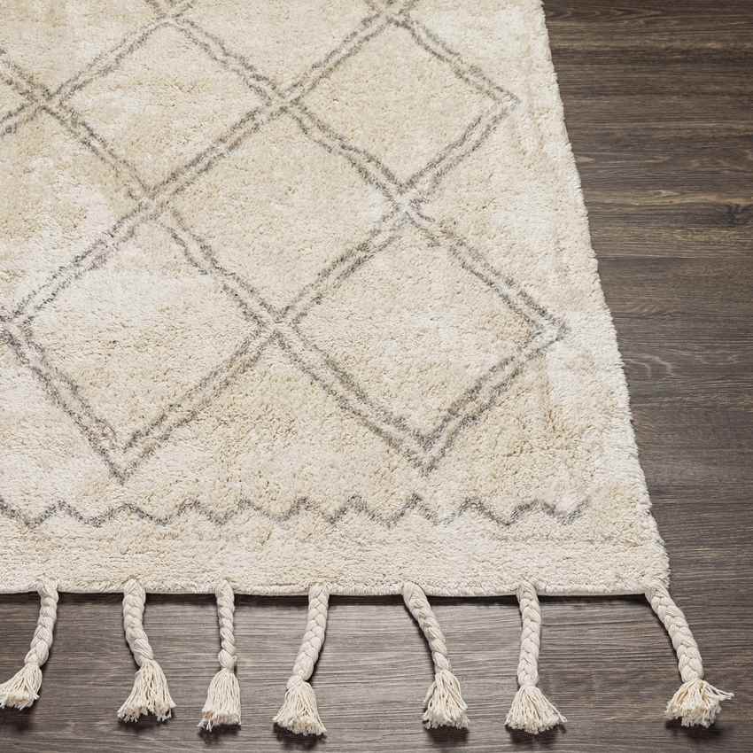 Noord Global Beige Area Rug