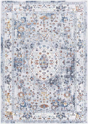Letona Traditional Light Gray Area Rug