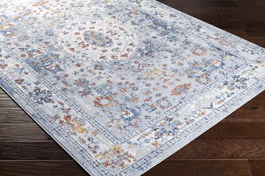 Letona Traditional Light Gray Area Rug