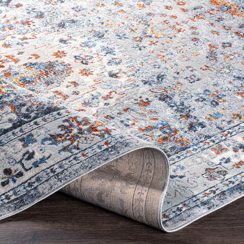 Letona Traditional Light Gray Area Rug