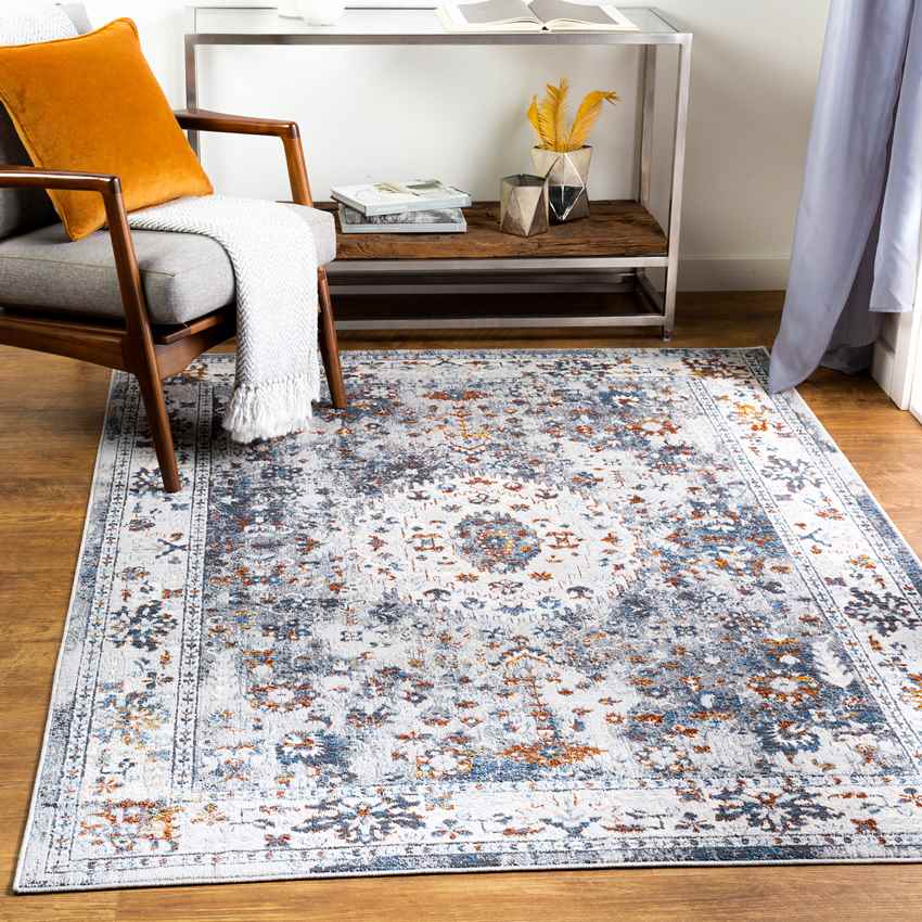 Letona Traditional Light Gray Area Rug