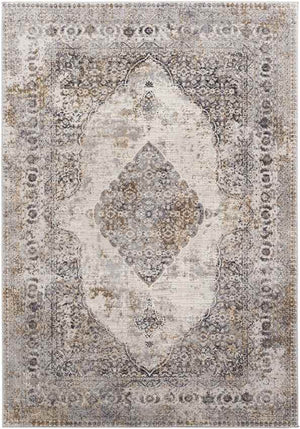 Stokske Traditional Taupe Area Rug