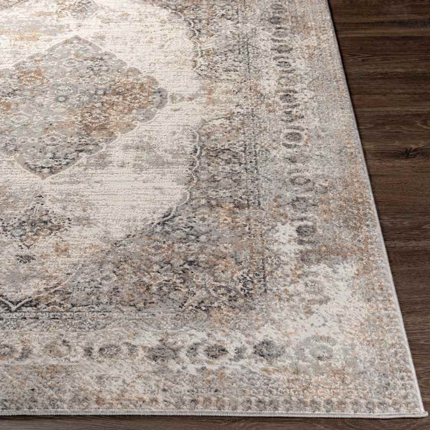 Stokske Traditional Taupe Area Rug