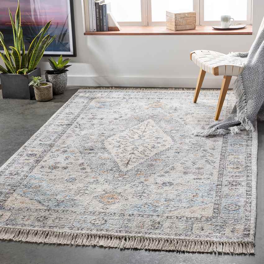 Briltil Traditional Taupe Area Rug