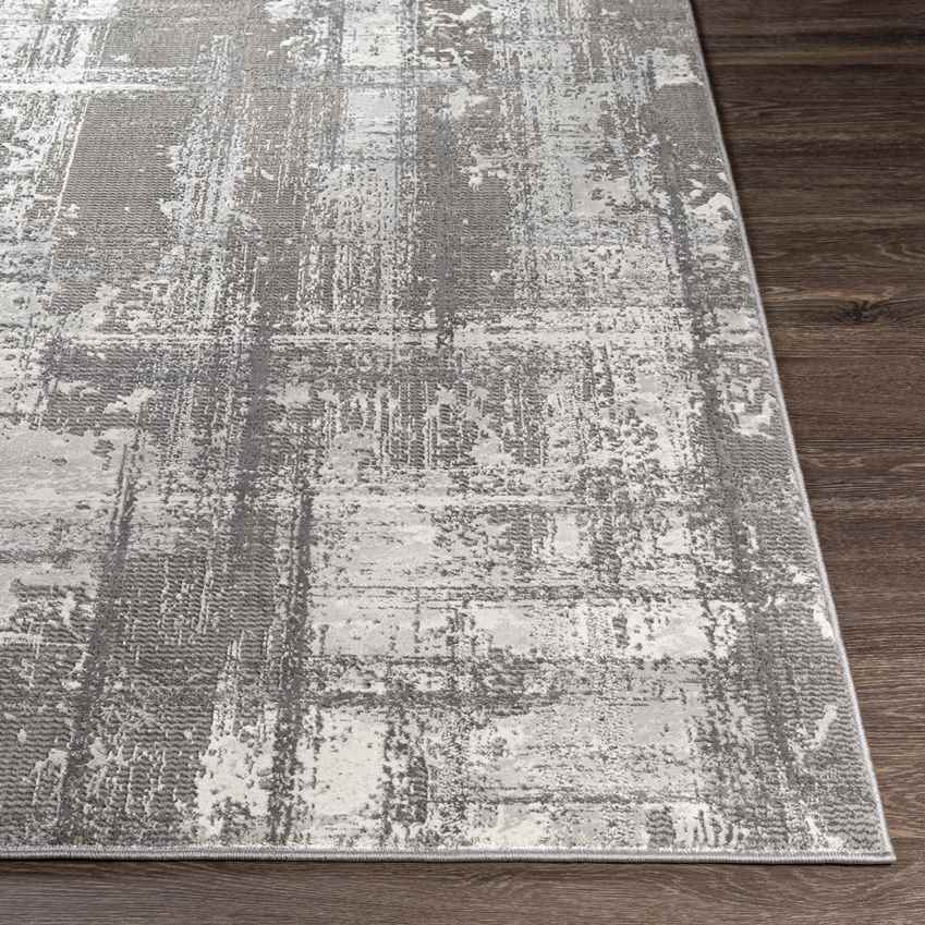 Eekwerd Modern Charcoal Area Rug