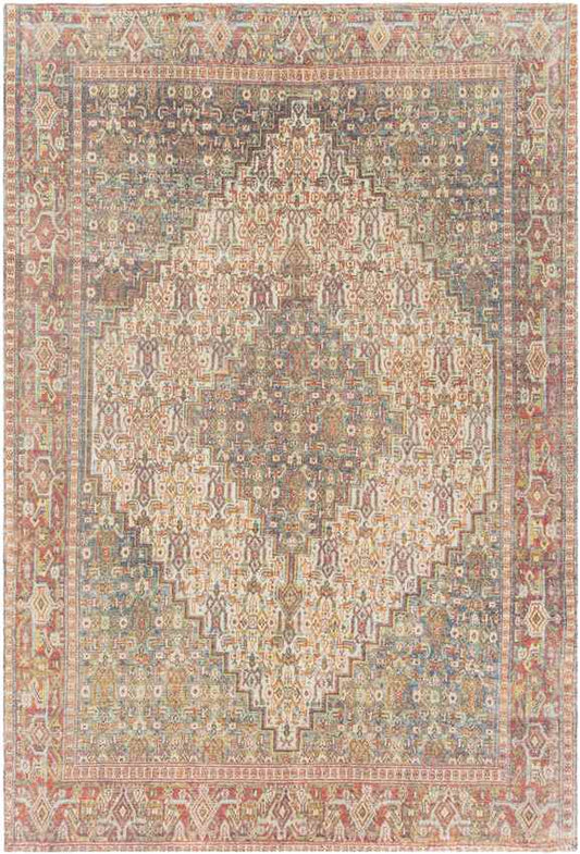 Kantens Traditional Burnt Orange Area Rug