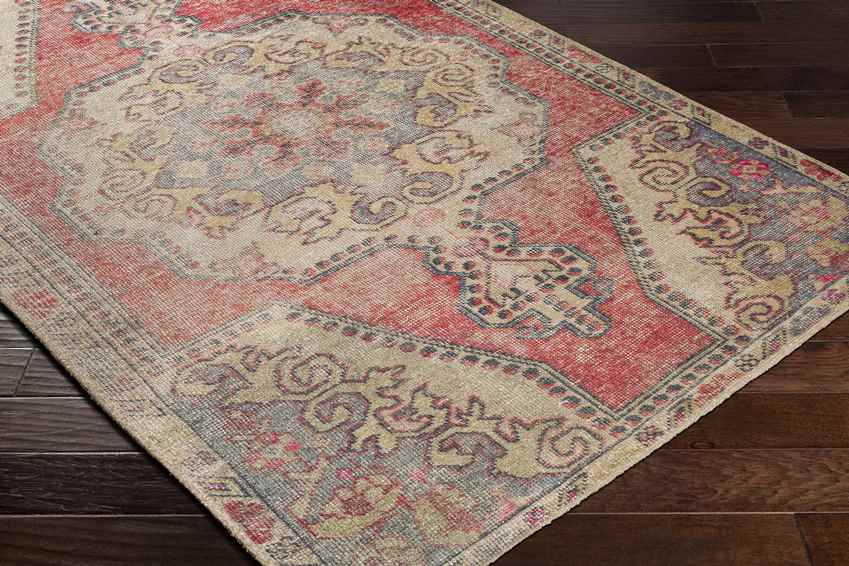 Kolham Traditional Ivory Area Rug