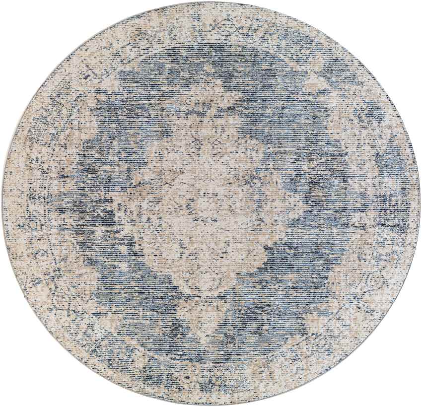 Jasonville Traditional Denim Area Rug