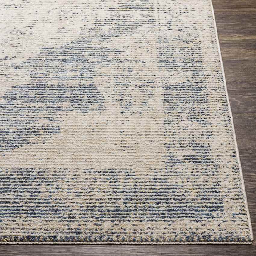 Jasonville Traditional Denim Area Rug