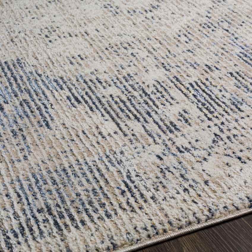 Jasonville Traditional Denim Area Rug
