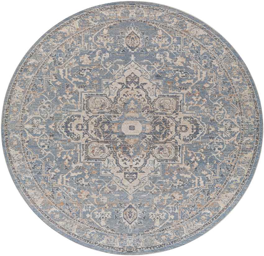 Jay Traditional Dark Teal Area Rug