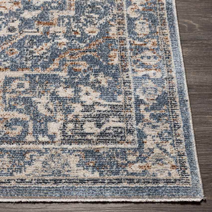 Jay Traditional Dark Teal Area Rug