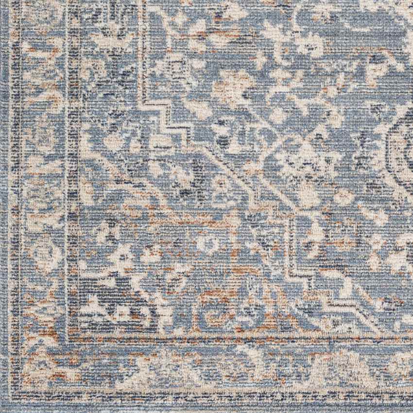 Jay Traditional Dark Teal Area Rug