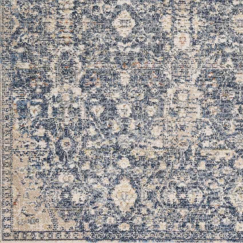 Blackford Traditional Navy Area Rug