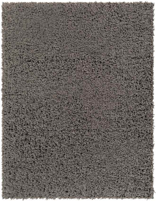 Abraham Modern Charcoal Area Rug