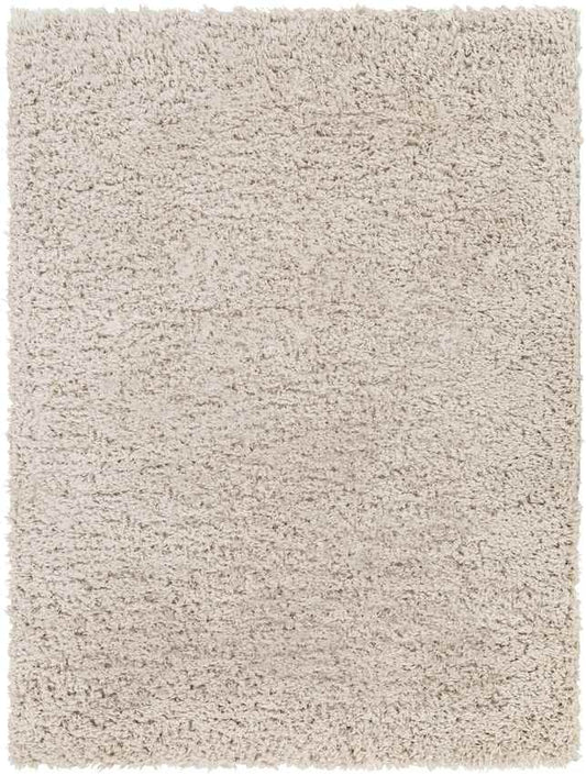 Abraham Modern Beige Area Rug