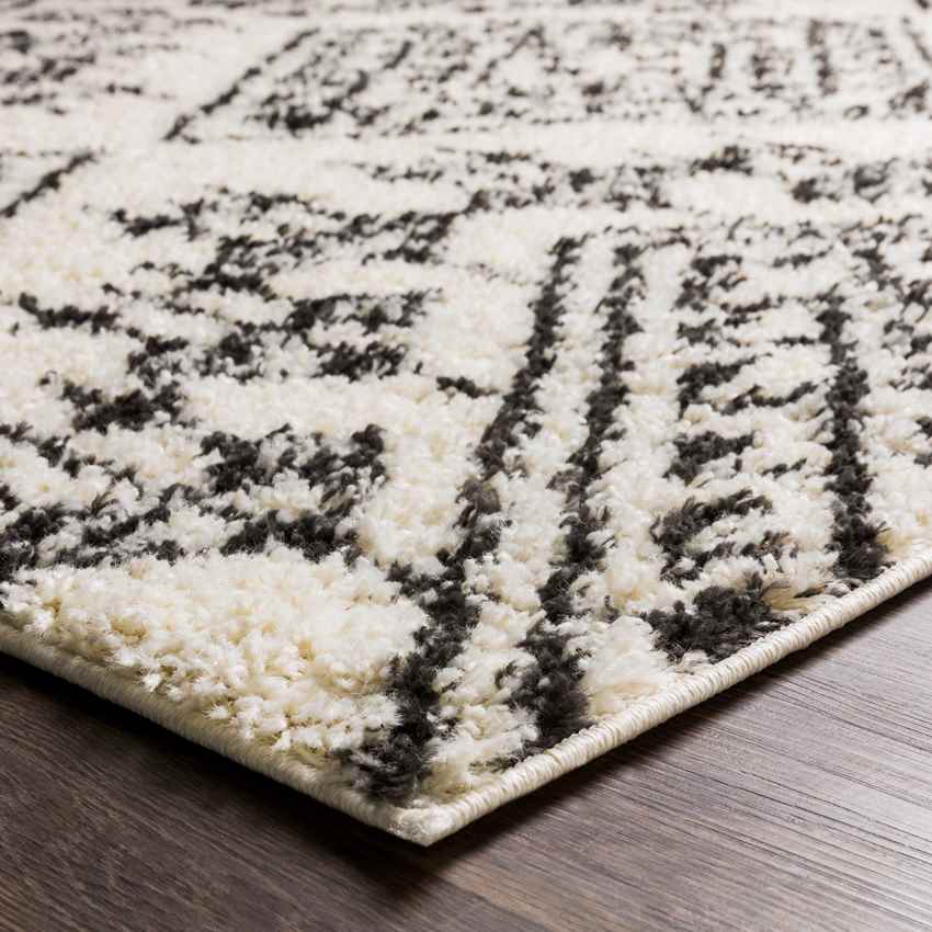 East Galesburg Global Cream Area Rug