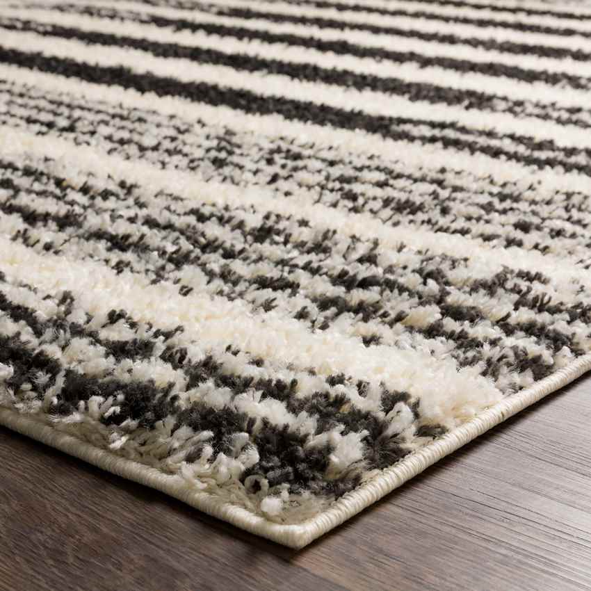 Evergreen Park Global Charcoal Area Rug