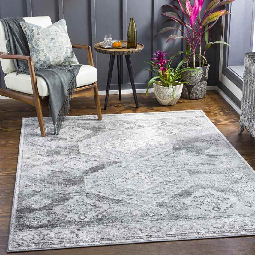 New Salem Traditional Charcoal Area Rug
