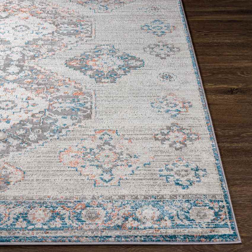 New Salem Traditional Aqua Area Rug