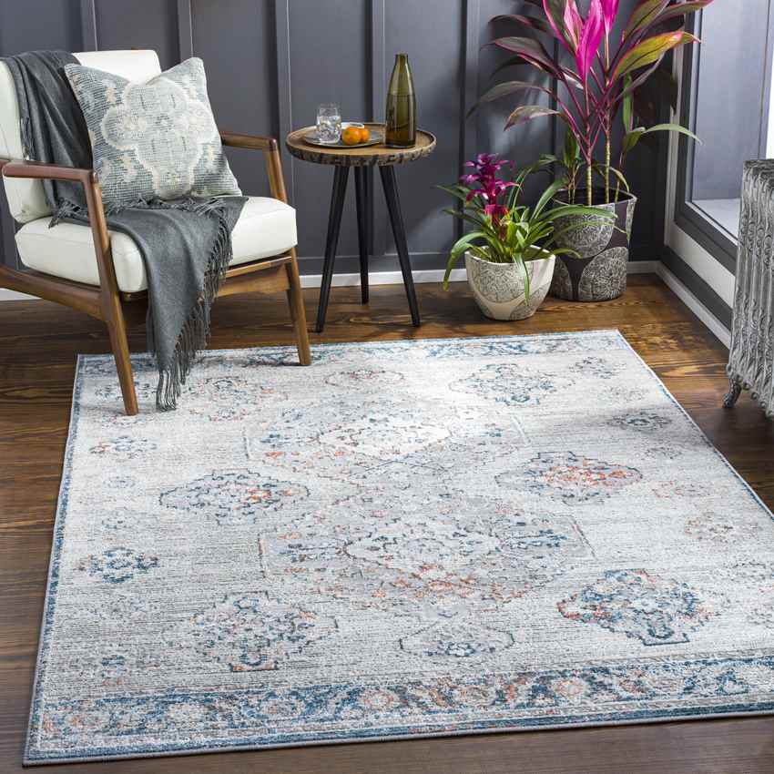 New Salem Traditional Aqua Area Rug